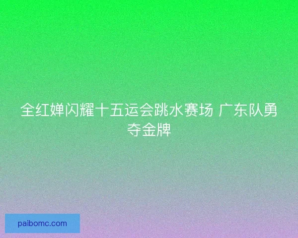 全红婵闪耀十五运会跳水赛场 广东队勇夺金牌