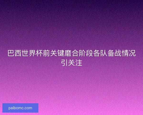 巴西世界杯前关键磨合阶段各队备战情况引关注