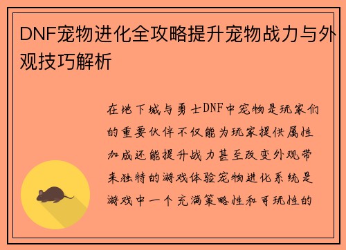 DNF宠物进化全攻略提升宠物战力与外观技巧解析